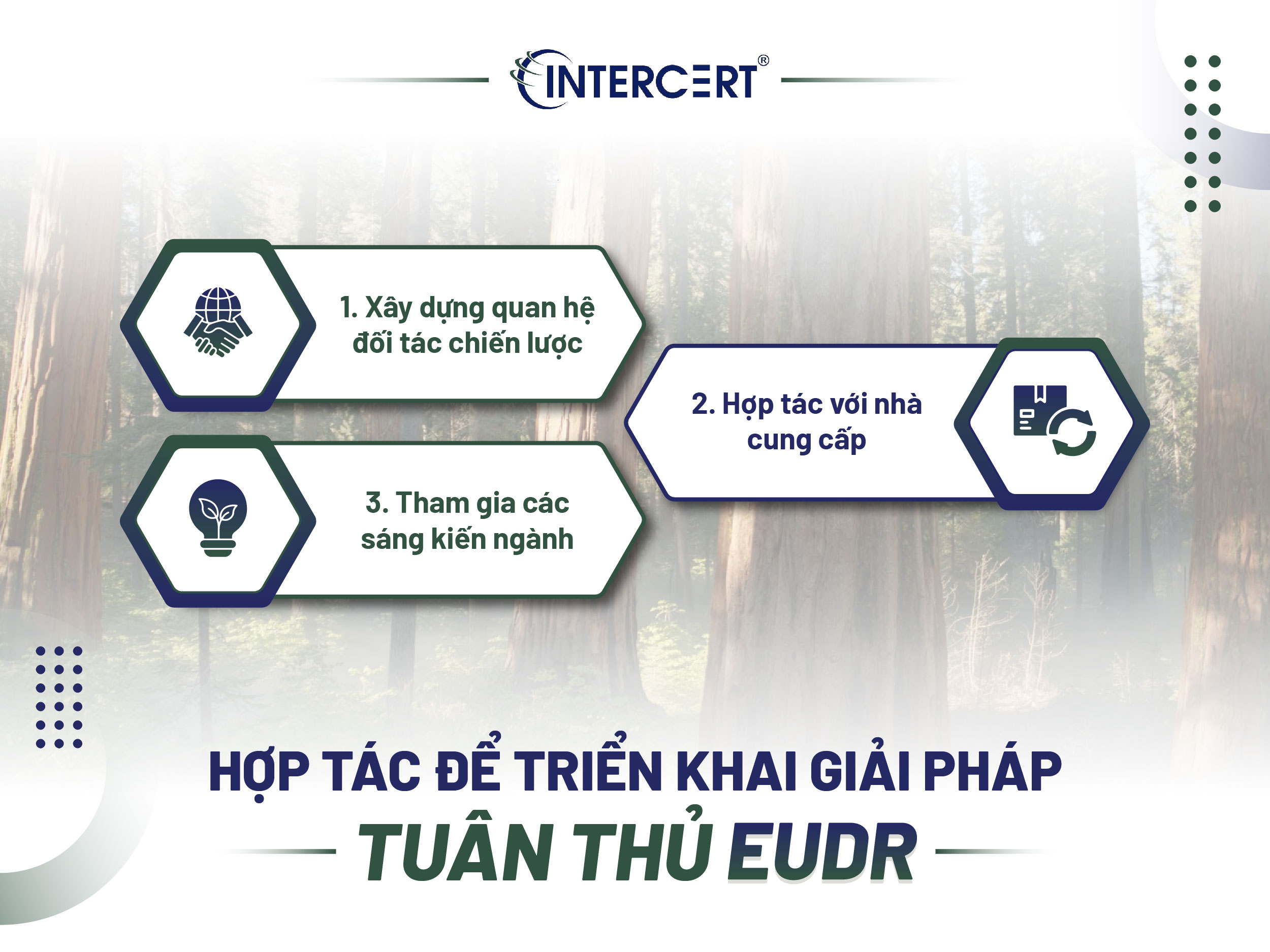 Giải pháp tuân thủ EUDR