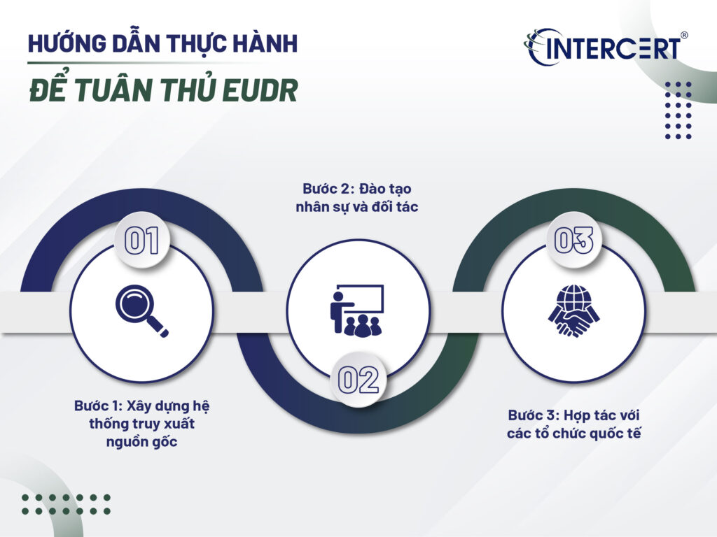 EUDR là gì? Những điều cần biết về Quy định chống phá rừng EU
