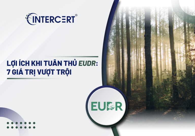 Lợi ích khi tuân thủ EUDR