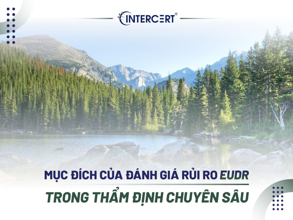 Đánh giá Rủi ro EUDR