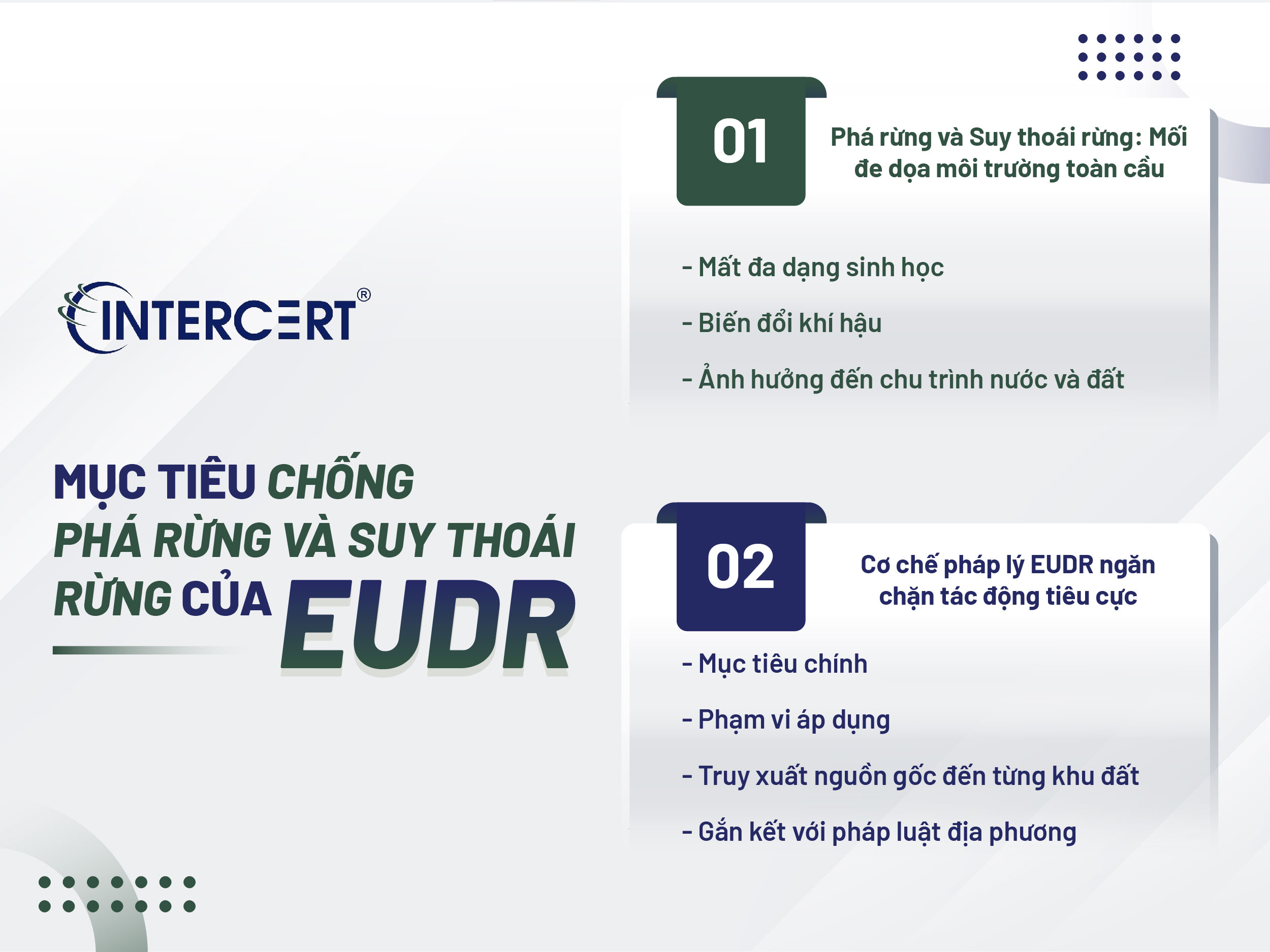 EUDR và Bảo vệ môi trường