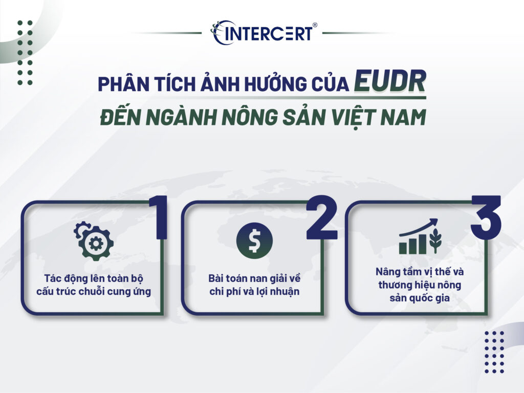 Ảnh hưởng của EUDR đến ngành nông sản