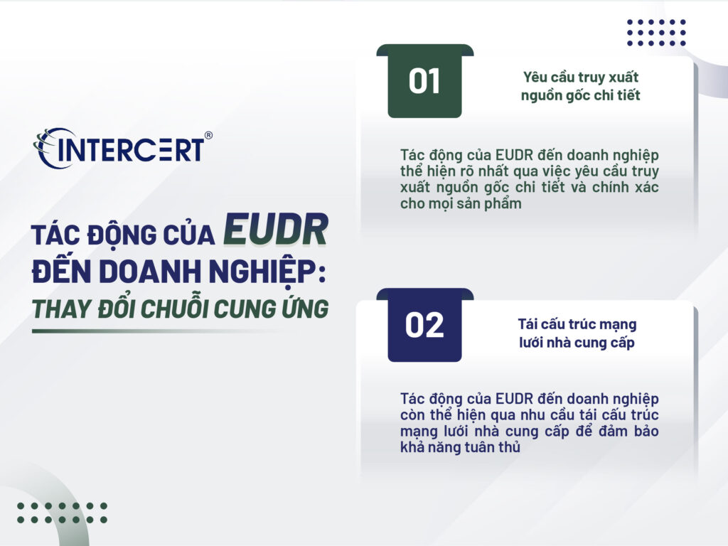 Tác động của EUDR đến doanh nghiệp