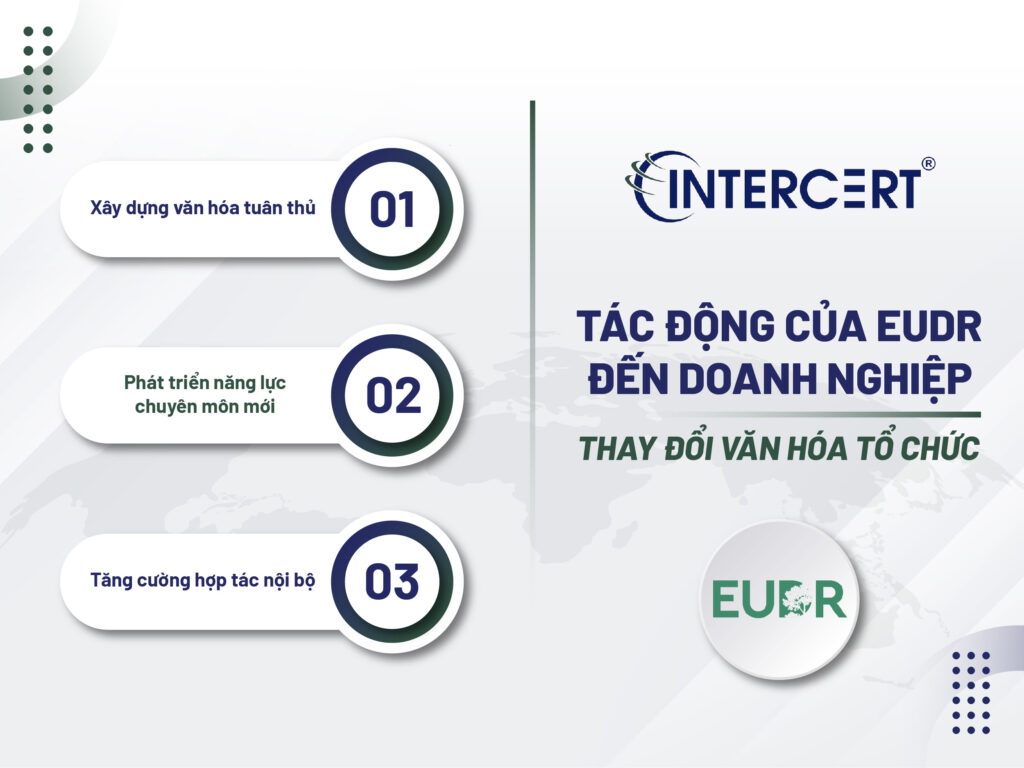 Tác động của EUDR đến doanh nghiệp