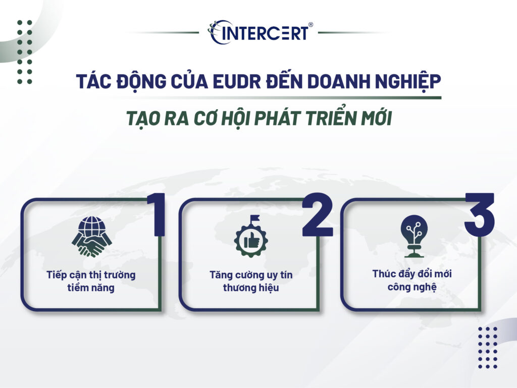 Tác động của EUDR đến doanh nghiệp