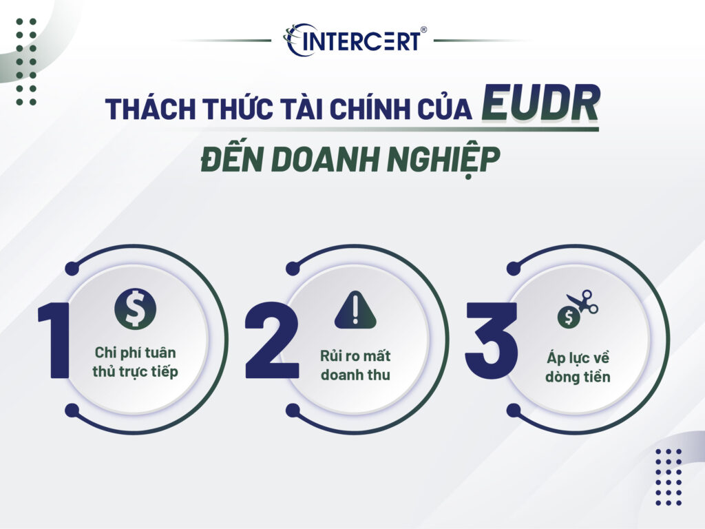 Tác động của EUDR đến doanh nghiệp