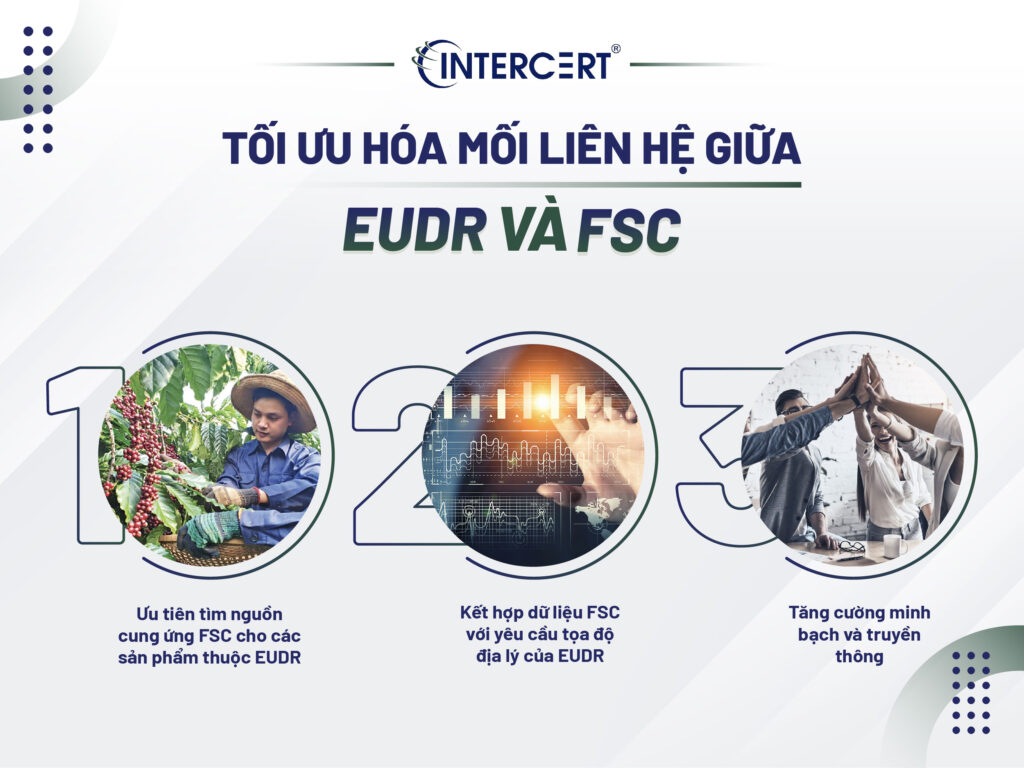 Mối liên hệ giữa EUDR và FSC