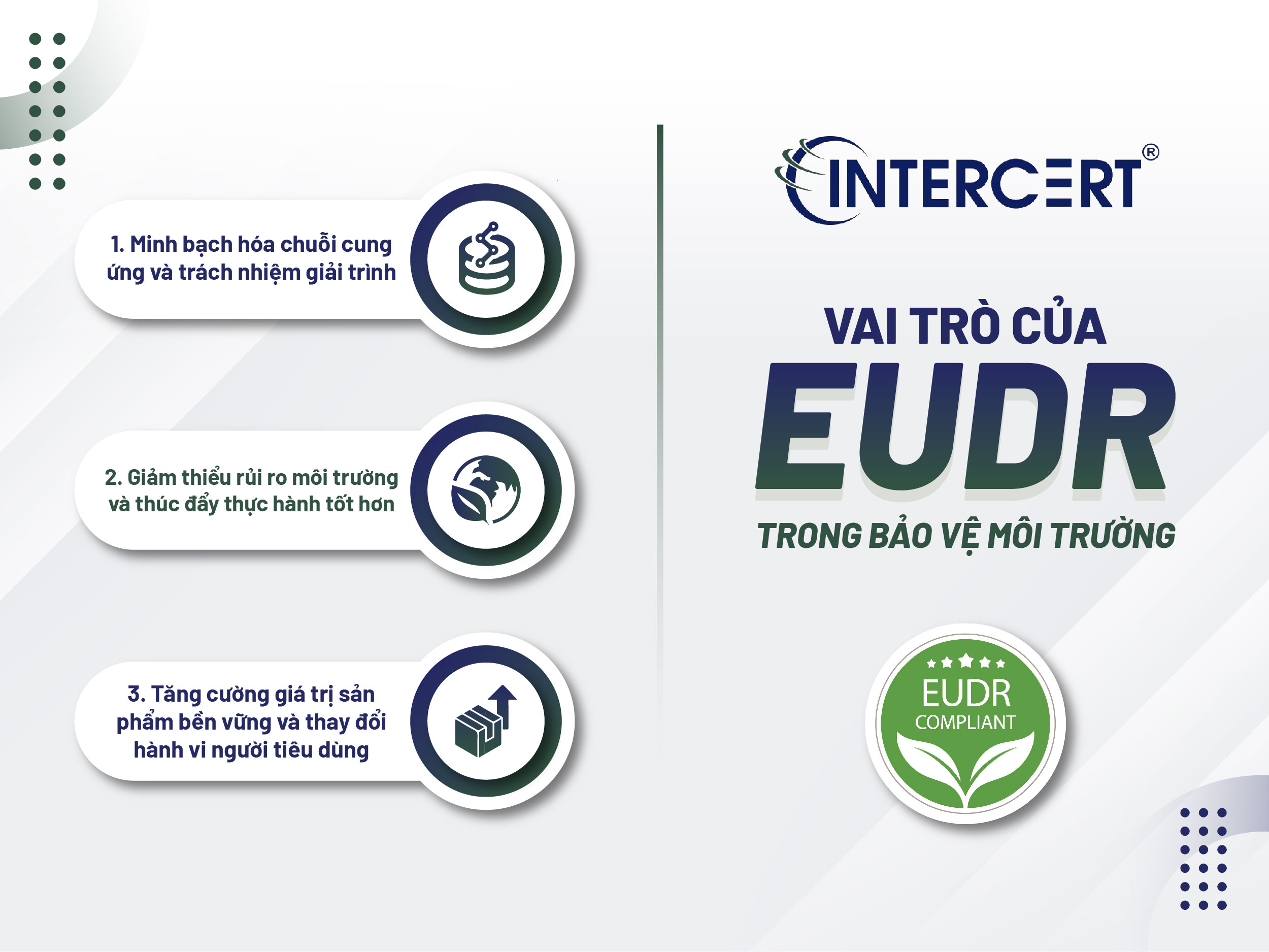 EUDR và Bảo vệ môi trường