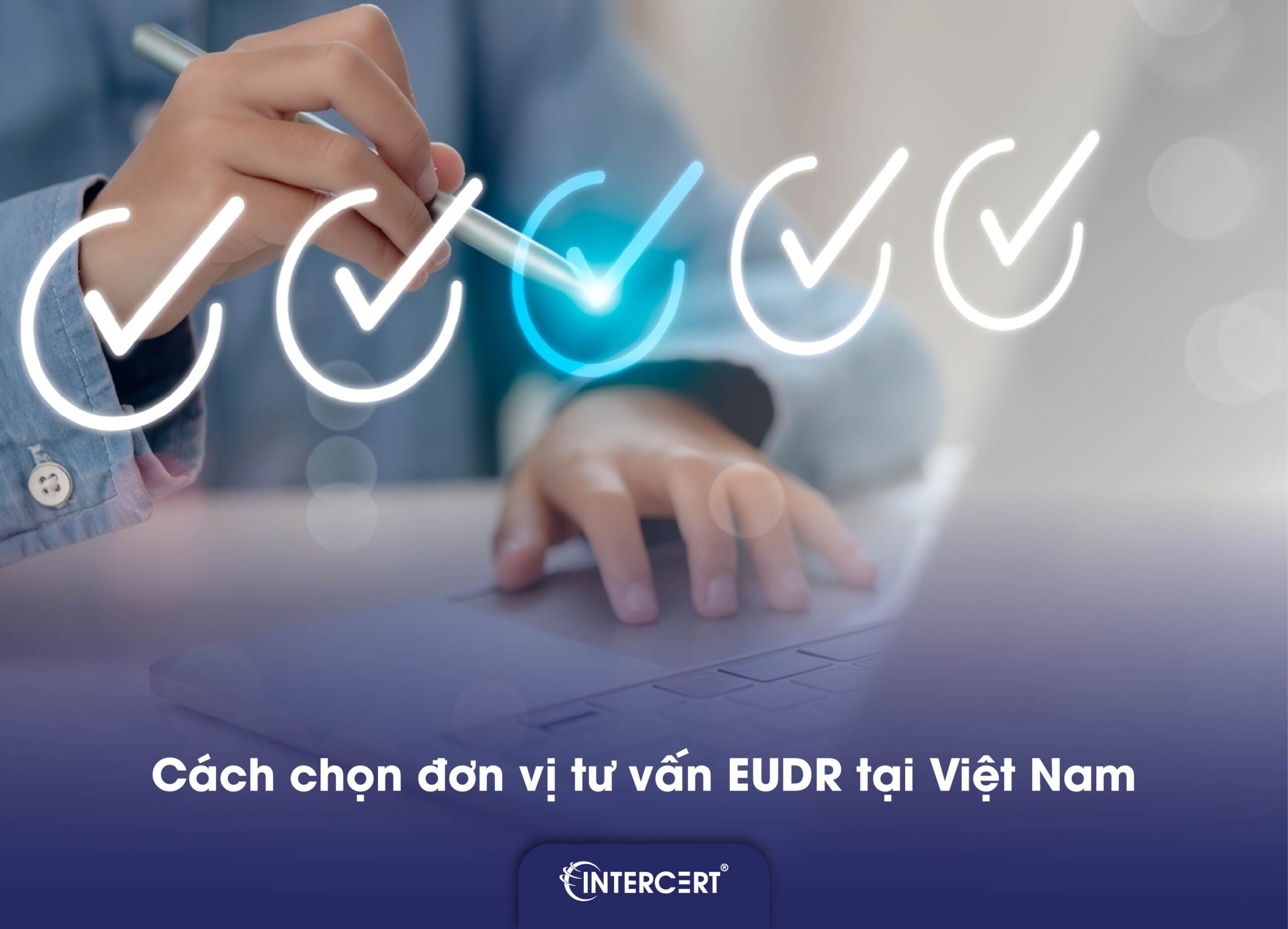 Dịch vụ tư vấn EUDR