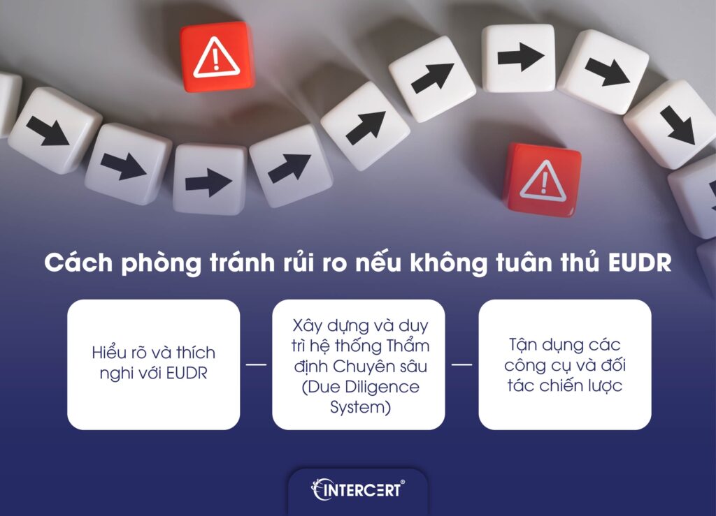 Rủi ro nếu không tuân thủ EUDR tác động như thế nào tới doanh nghiệp