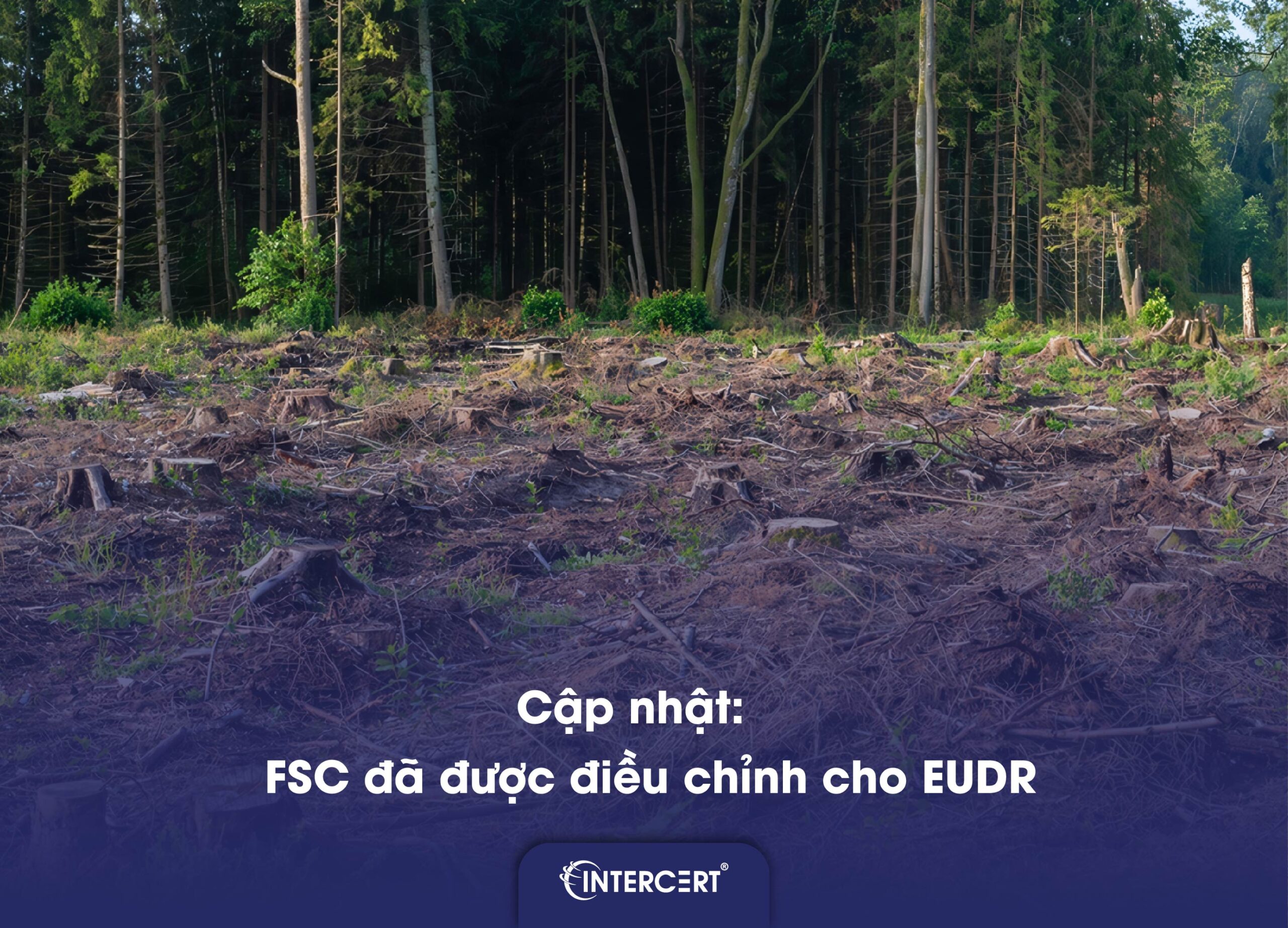 Chứng nhận FSC có đáp ứng EUDR không