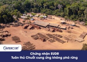 Chứng nhận EUDR