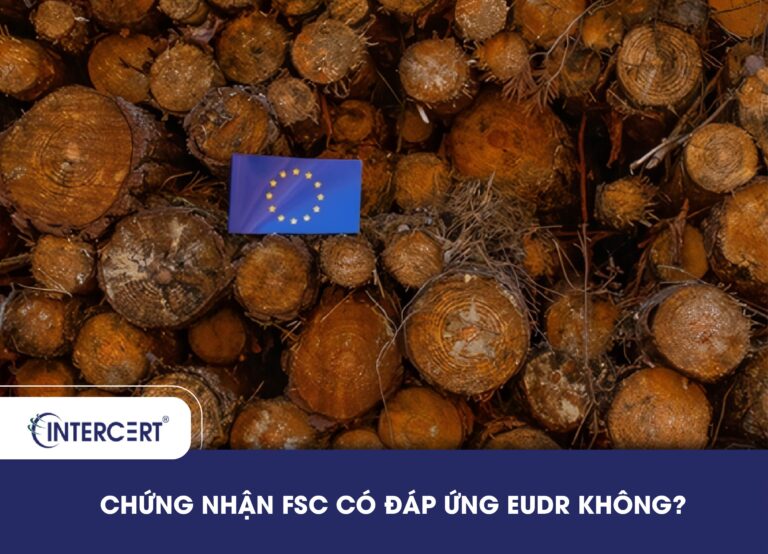 Chứng nhận FSC có đáp ứng EUDR không