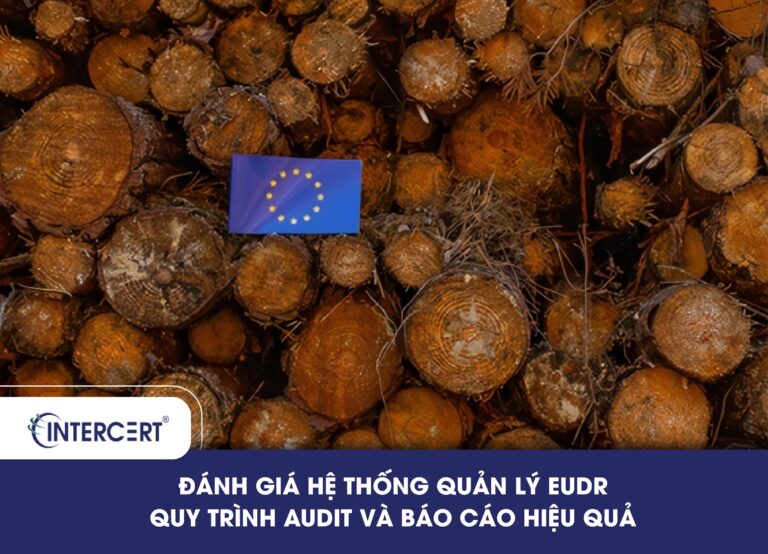 Đánh giá hệ thống quản lý EUDR