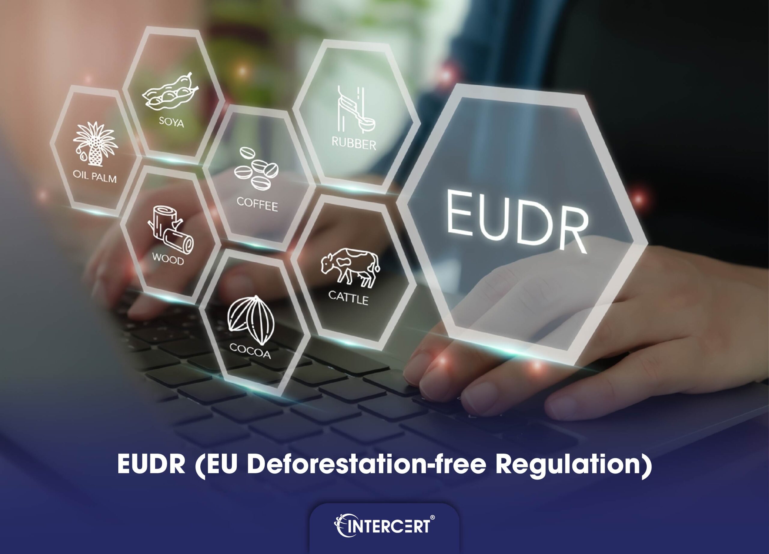 Chứng nhận FSC có đáp ứng EUDR không