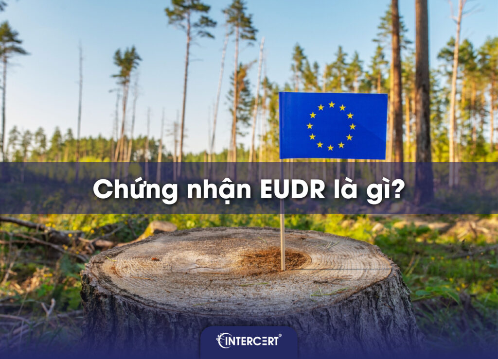 Chứng nhận EUDR