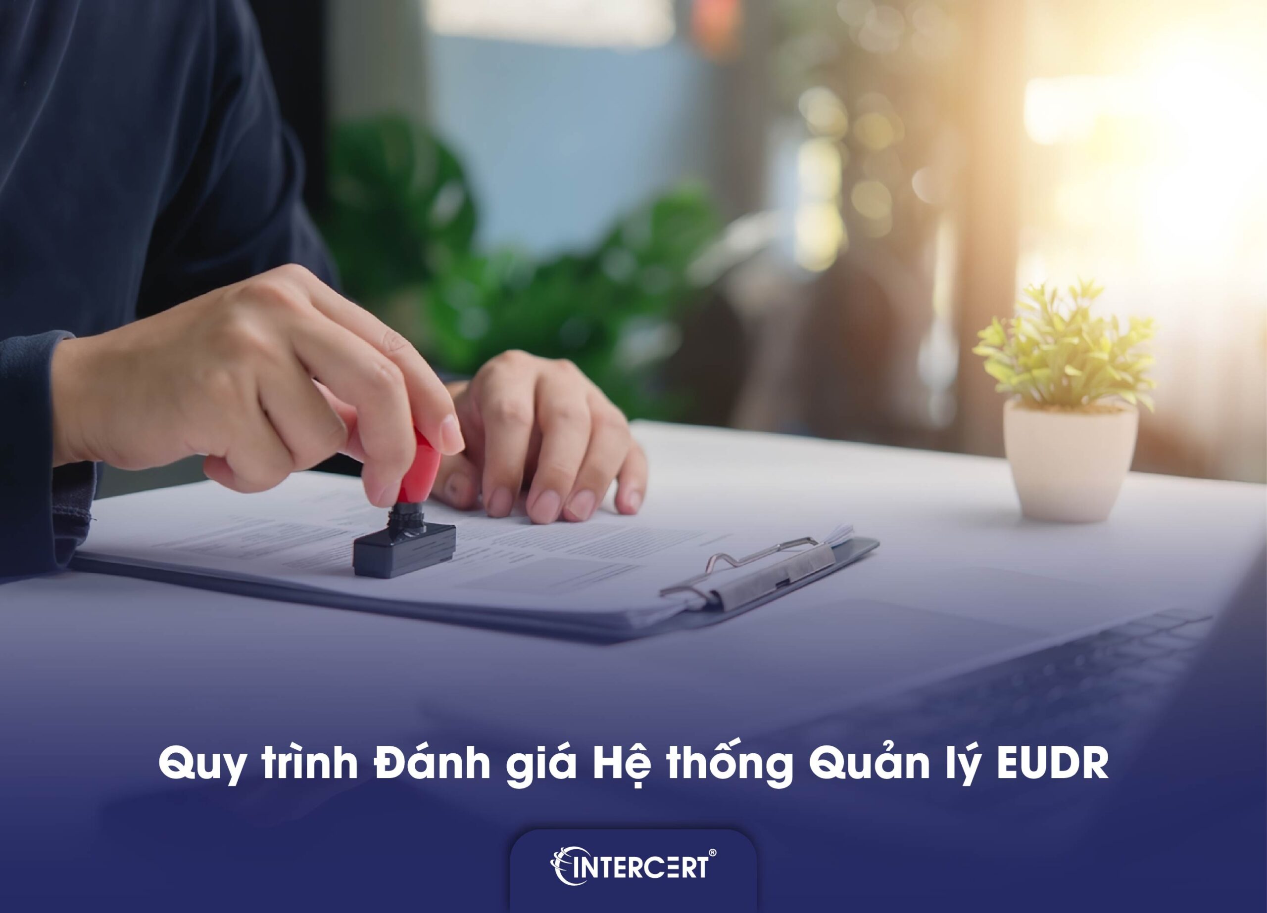 Đánh giá hệ thống quản lý EUDR