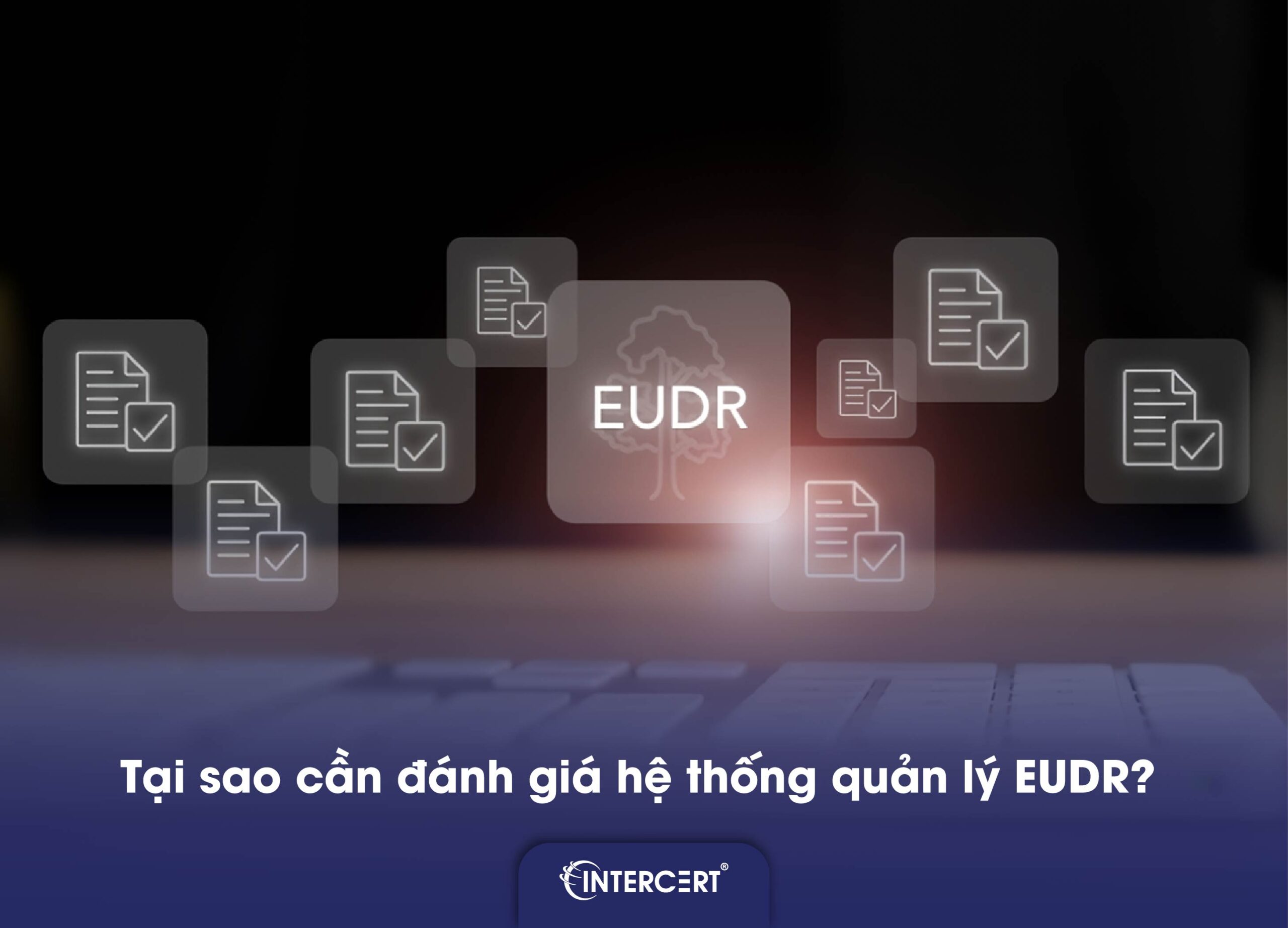 Đánh giá hệ thống quản lý EUDR