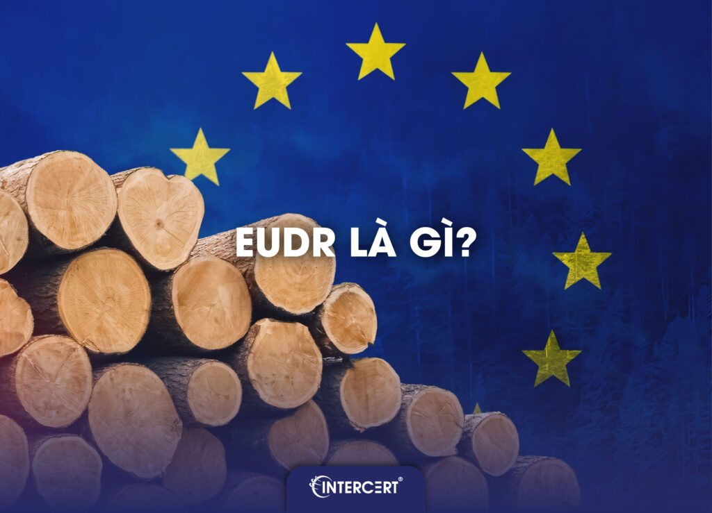 EUDR là gì? Những điều cần biết về Quy định chống phá rừng EU