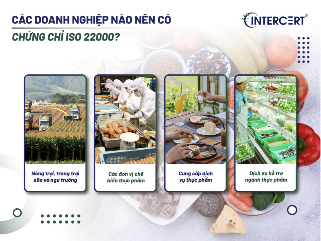 Chứng chỉ ISO 22000 Hệ thống quản lý an toàn thực phẩm