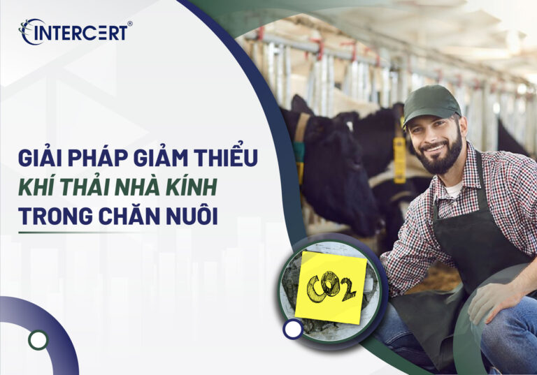 Giải pháp giảm thiểu khí thải nhà kính trong chăn nuôi
