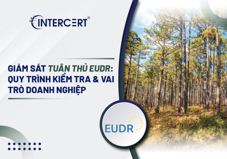 Giám sát tuân thủ EUDR