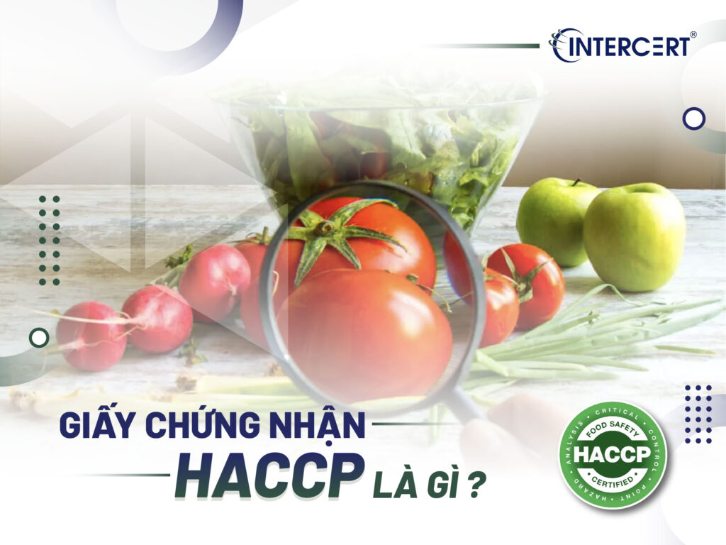 Giấy chứng nhận HACCP là gì
