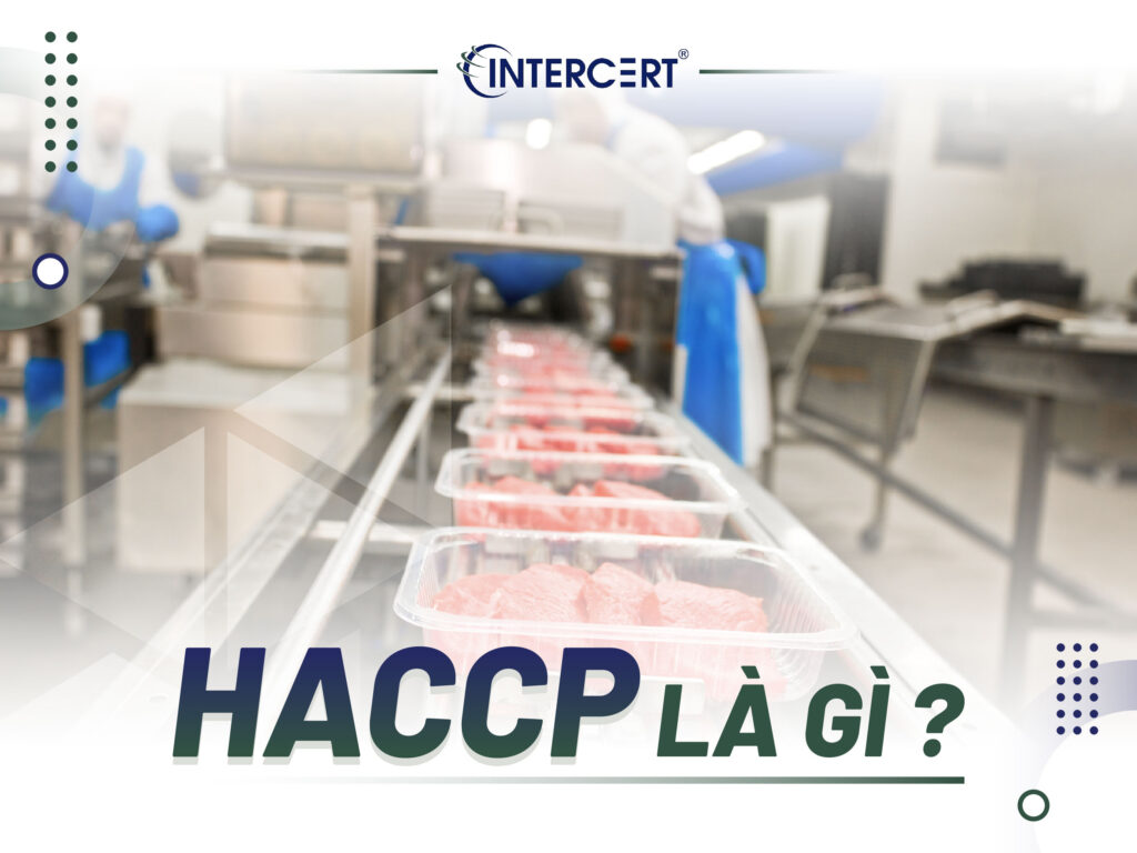 HỌC CHỨNG CHỈ HACCP Ở ĐÂU CHẤT LƯỢNG