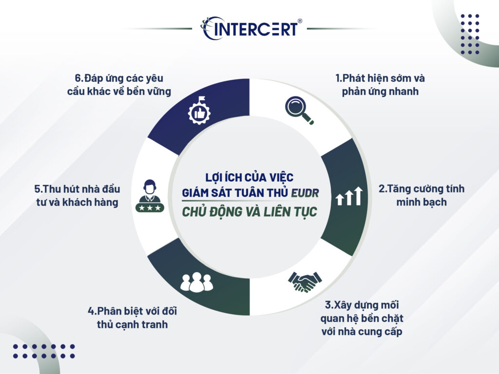 Giám sát tuân thủ EUDR