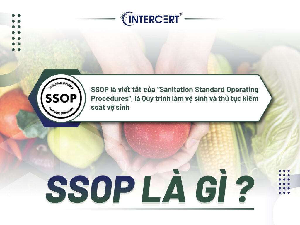 SỰ KHÁC NHAU GIỮA SSOP VÀ HACCP