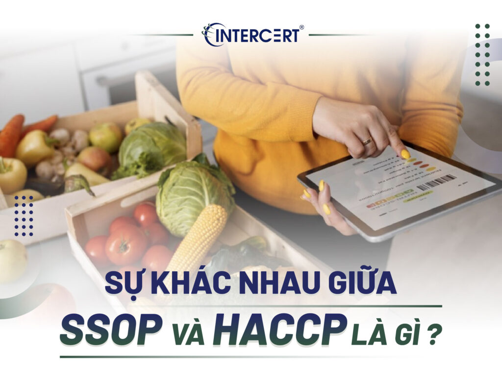 SỰ KHÁC NHAU GIỮA SSOP VÀ HACCP