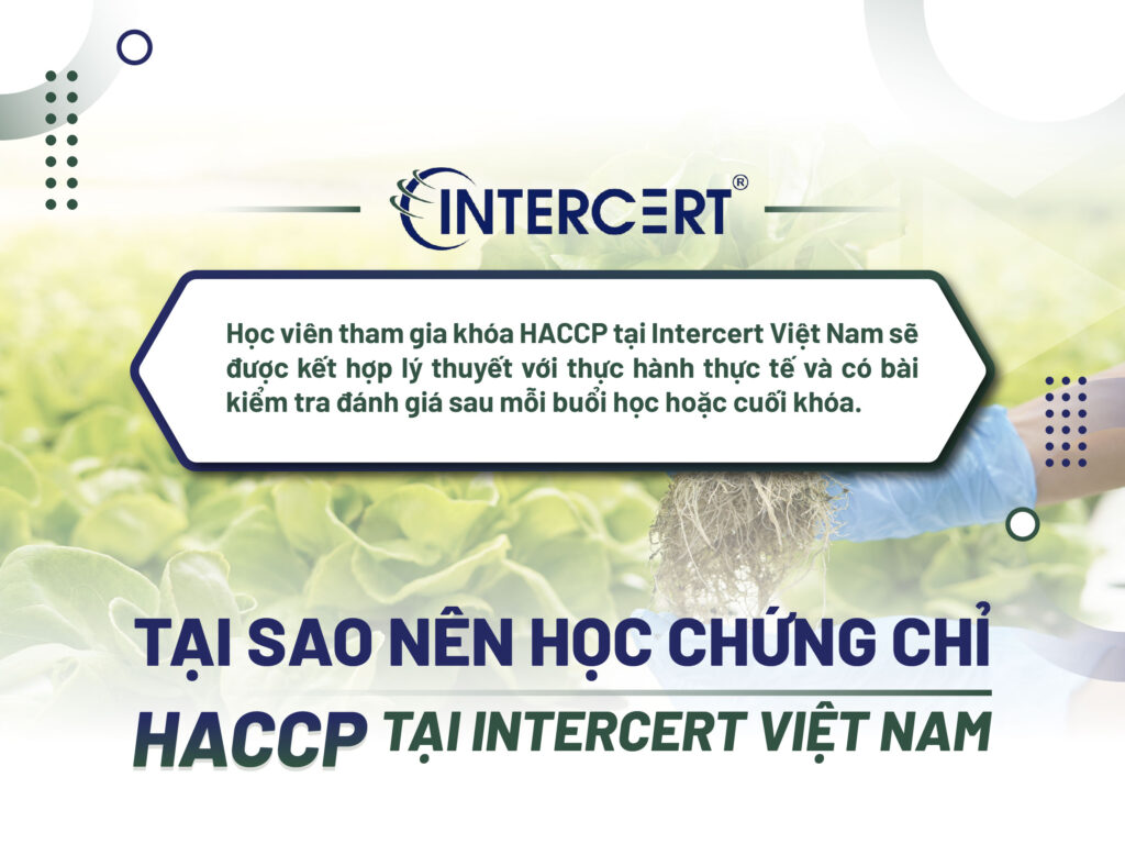 HỌC CHỨNG CHỈ HACCP Ở ĐÂU CHẤT LƯỢNG
