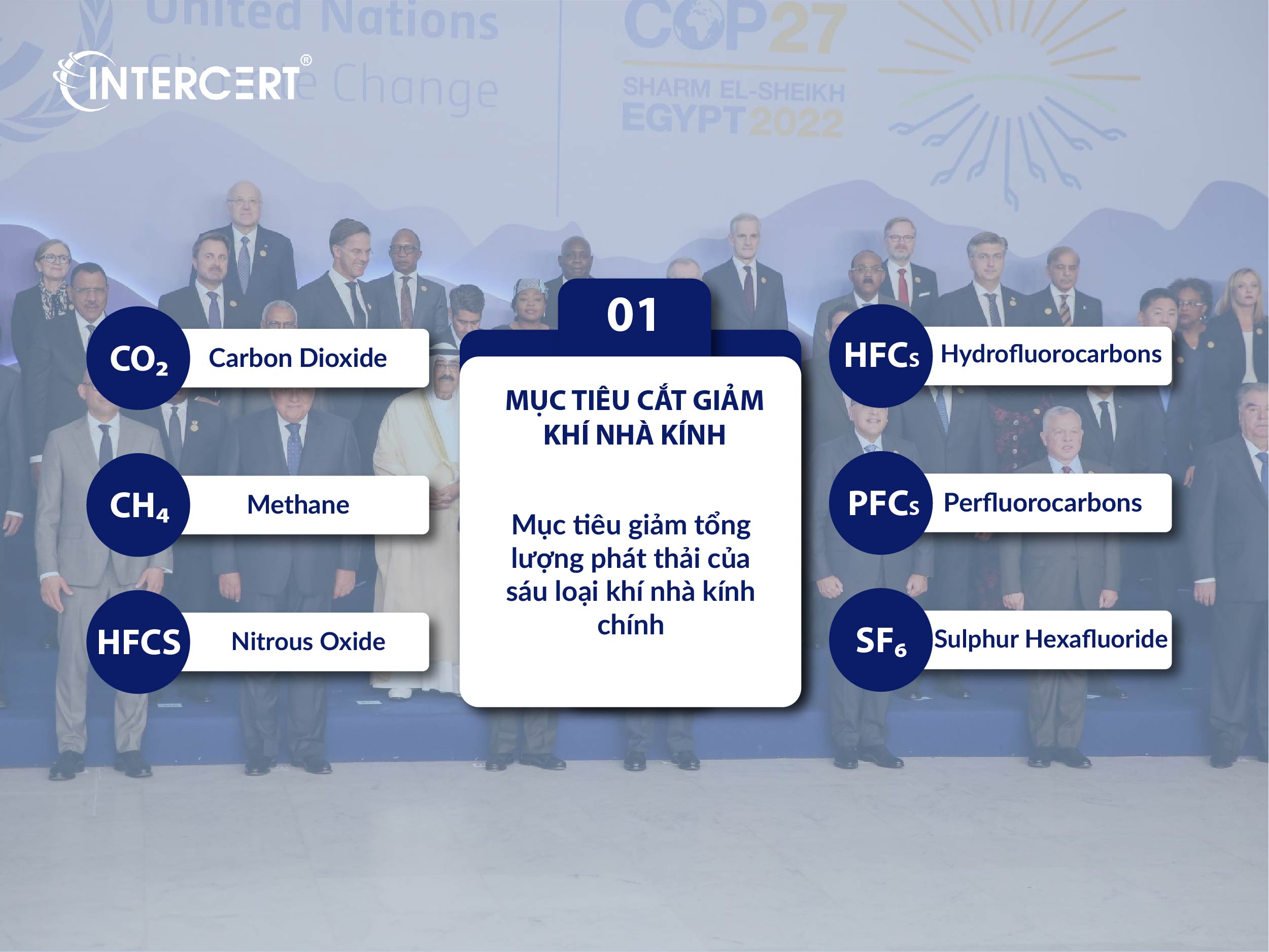 cắt giảm khí nhà kính