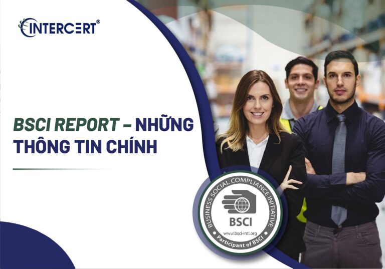 BSCI Report
