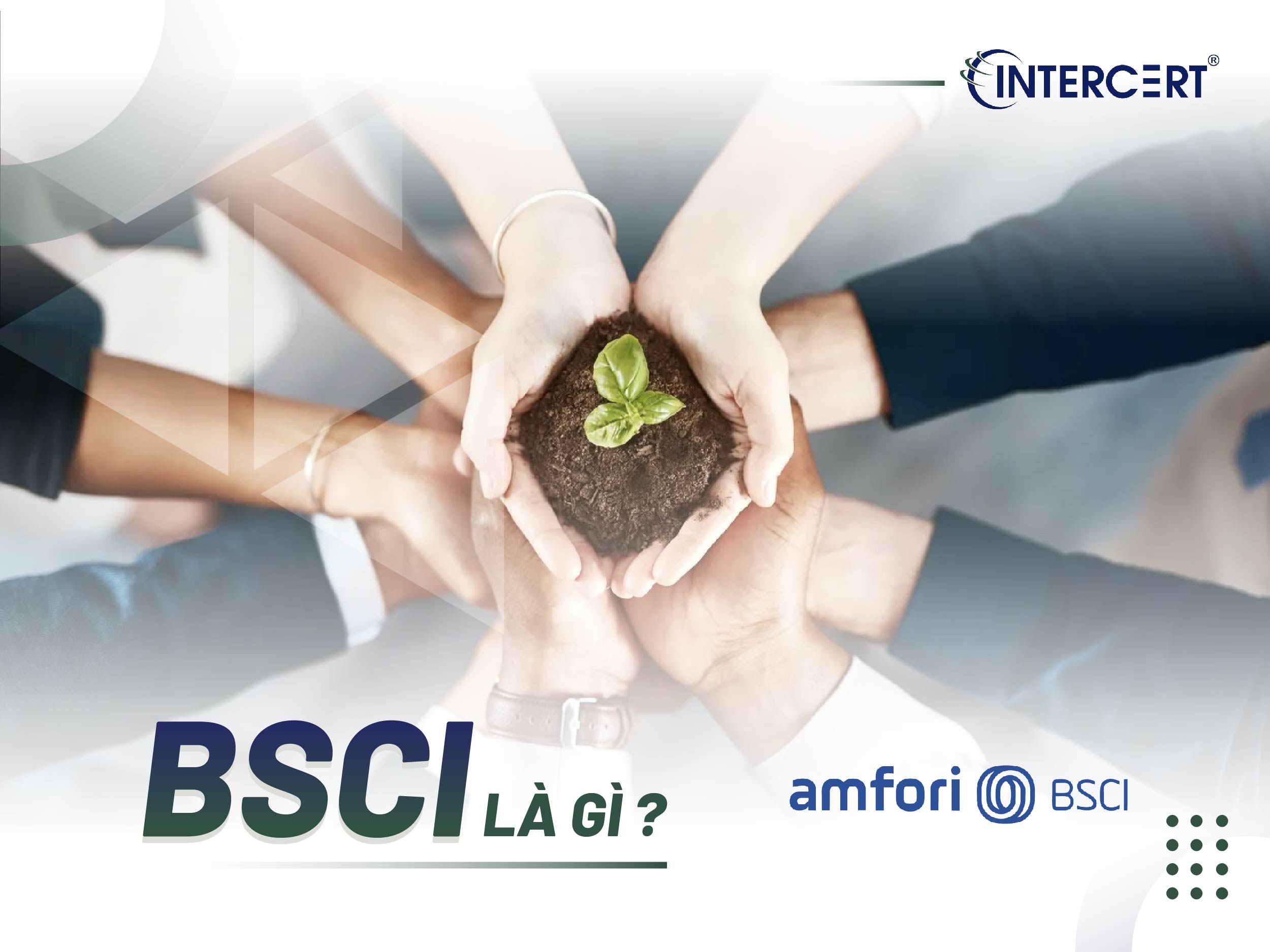 Quy trình thực hiện BSCI