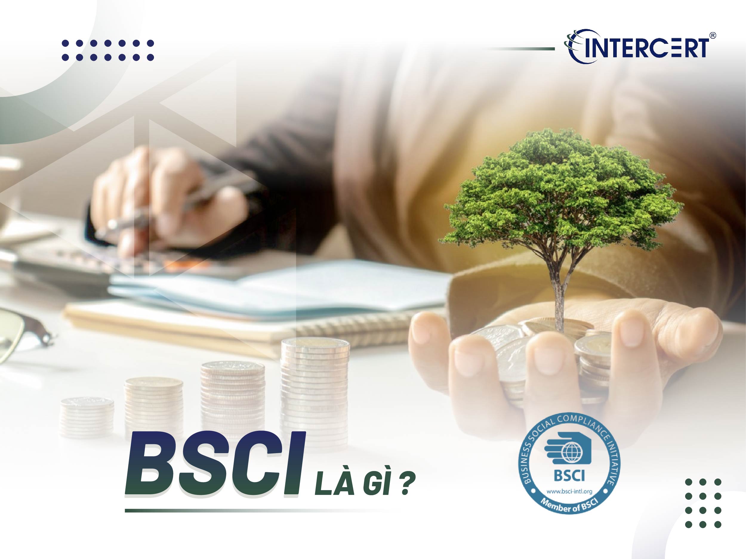 Danh sách các đơn vị kiểm toán độc lập BSCI uy tín tại Việt Nam