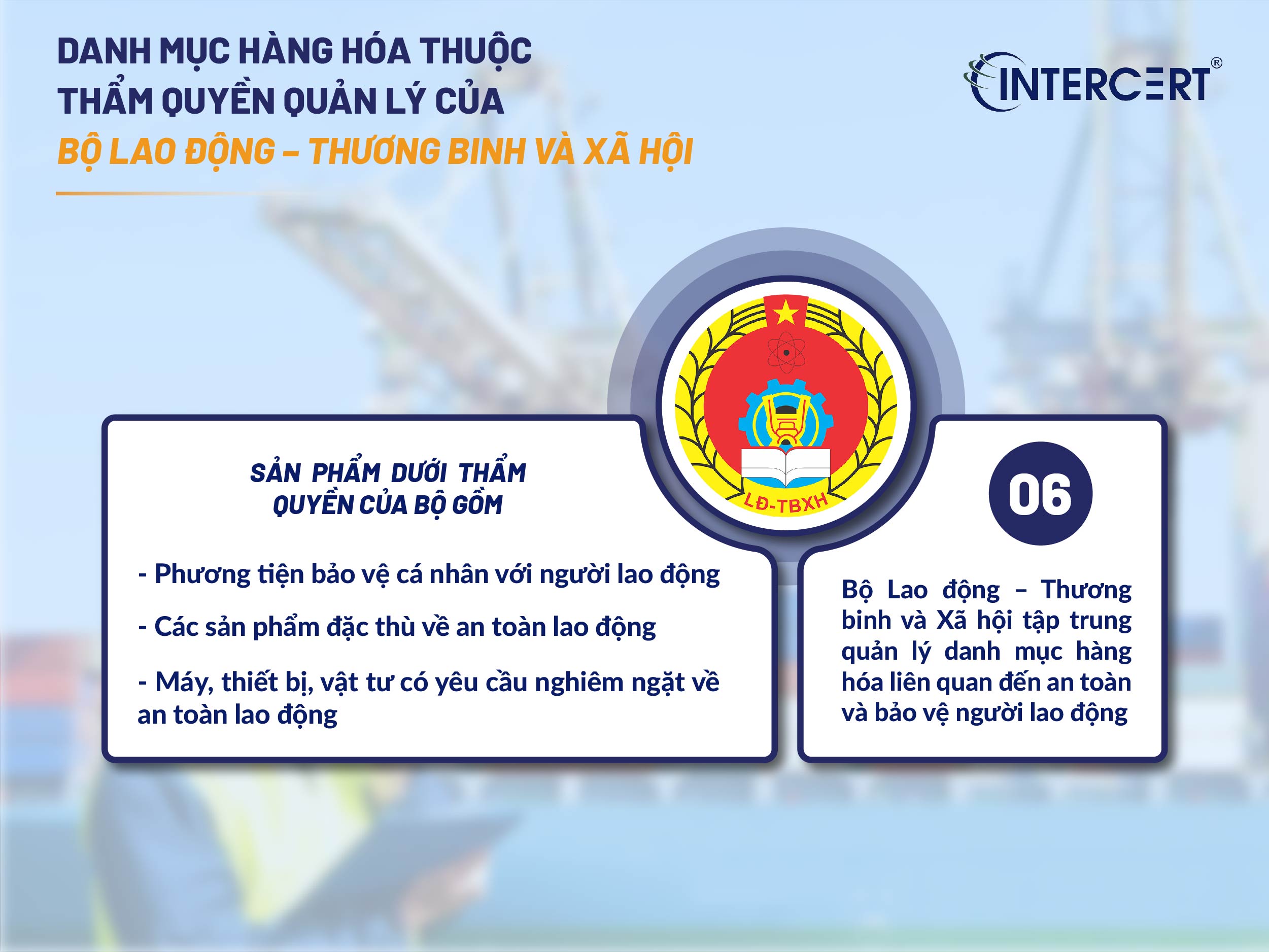 Danh mục hàng hóa và thẩm quyền quản lý CFS