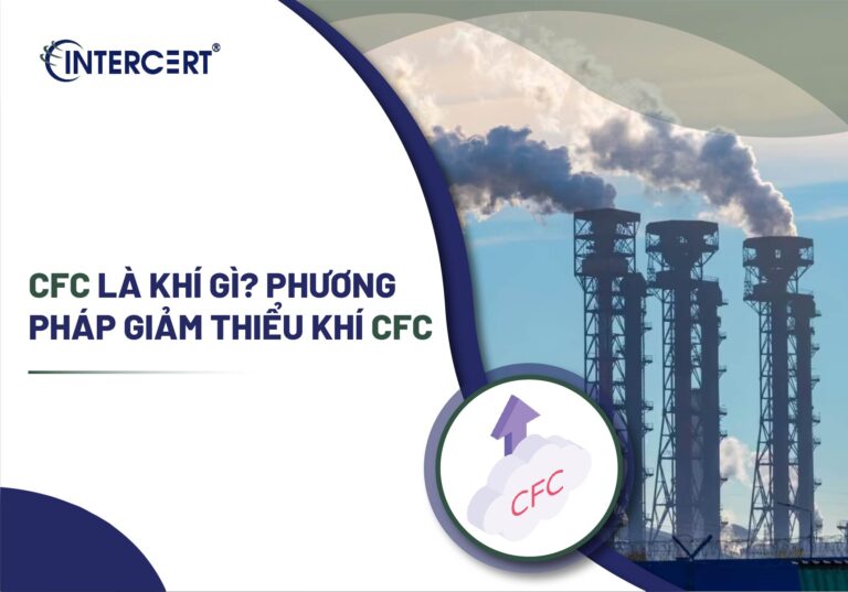 CFC là khí gì