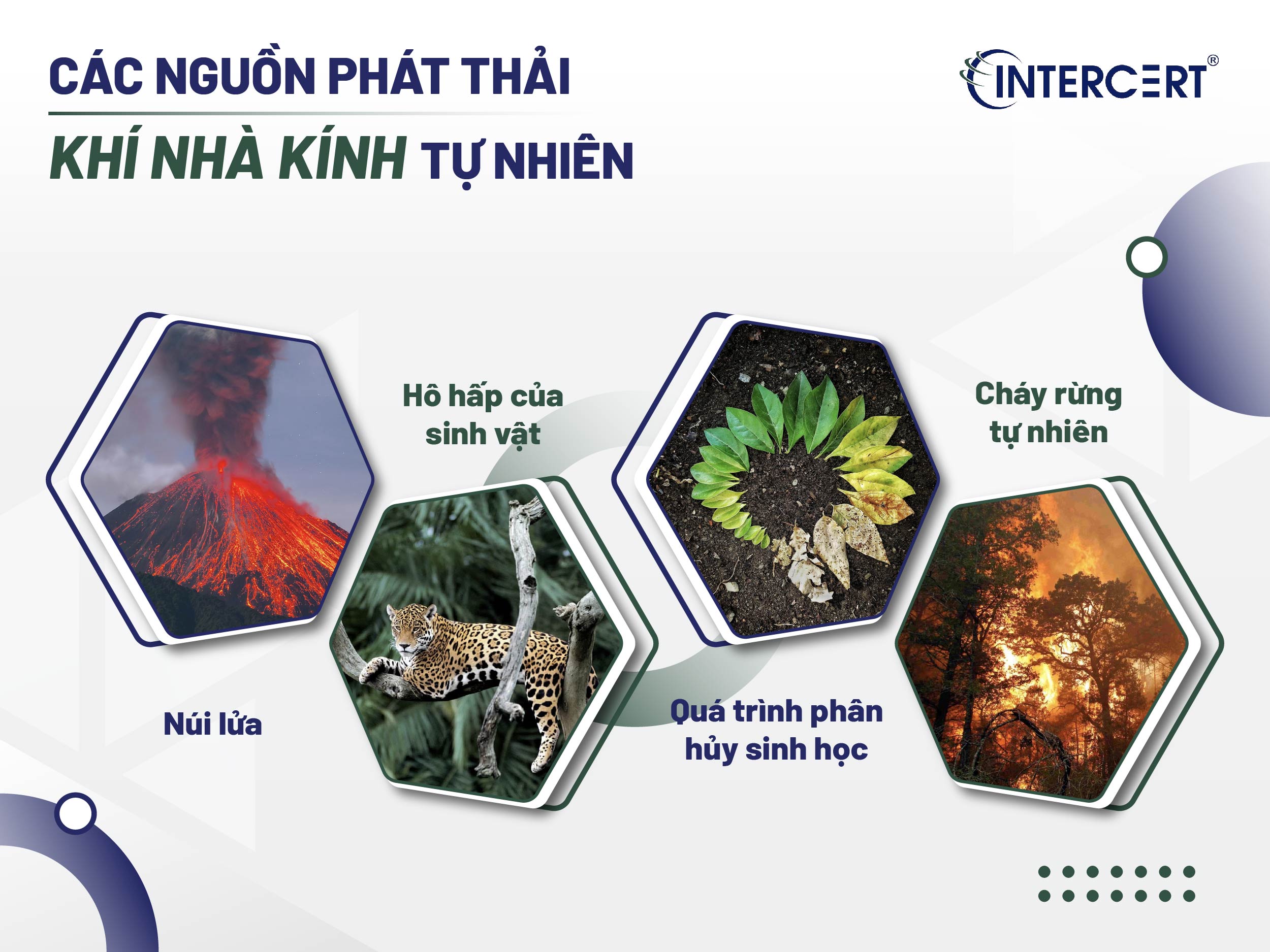 Các nguồn phát thải khí nhà kính