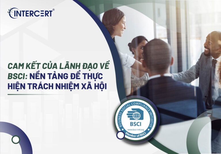 Cam kết của lãnh đạo về BSCI