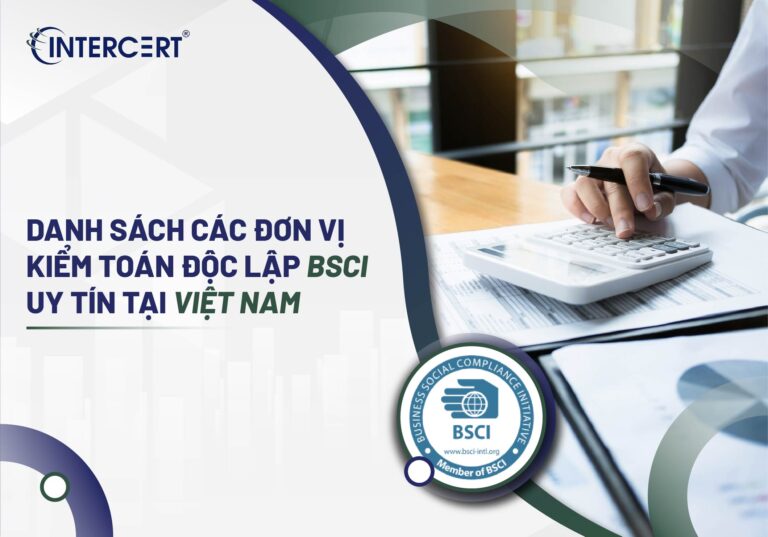Danh sách các đơn vị kiểm toán độc lập BSCI uy tín tại Việt Nam