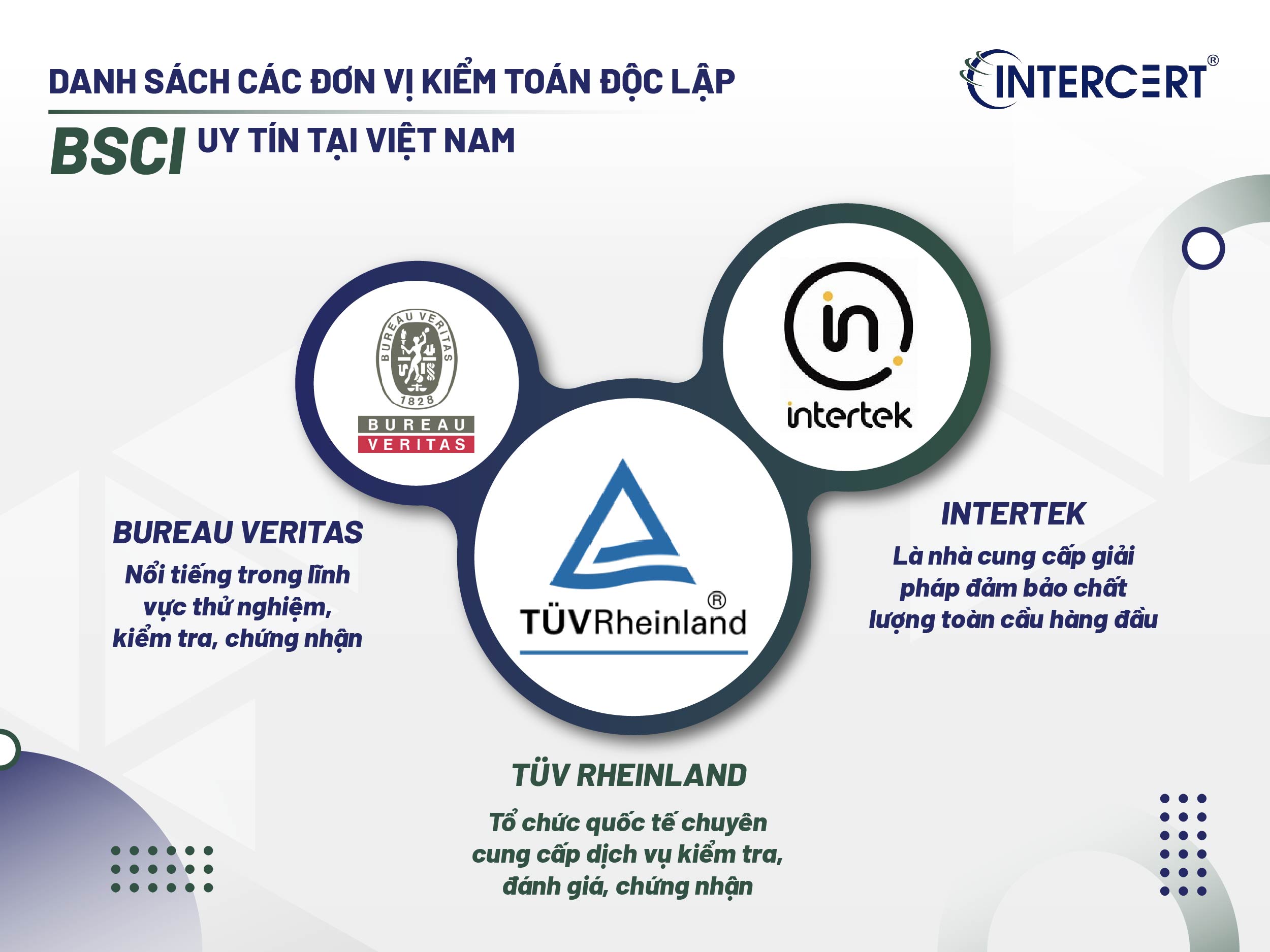 Danh sách các đơn vị kiểm toán độc lập BSCI uy tín tại Việt Nam