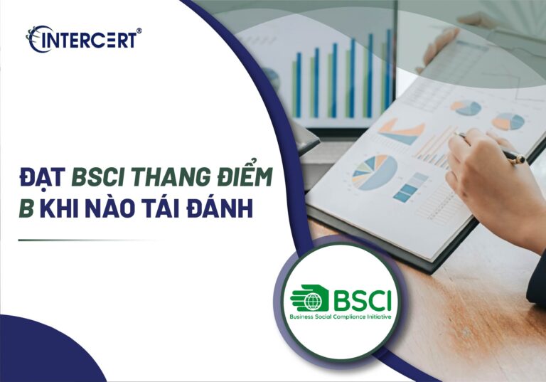 Đạt BSCI thang điểm B khi nào tái đánh giá