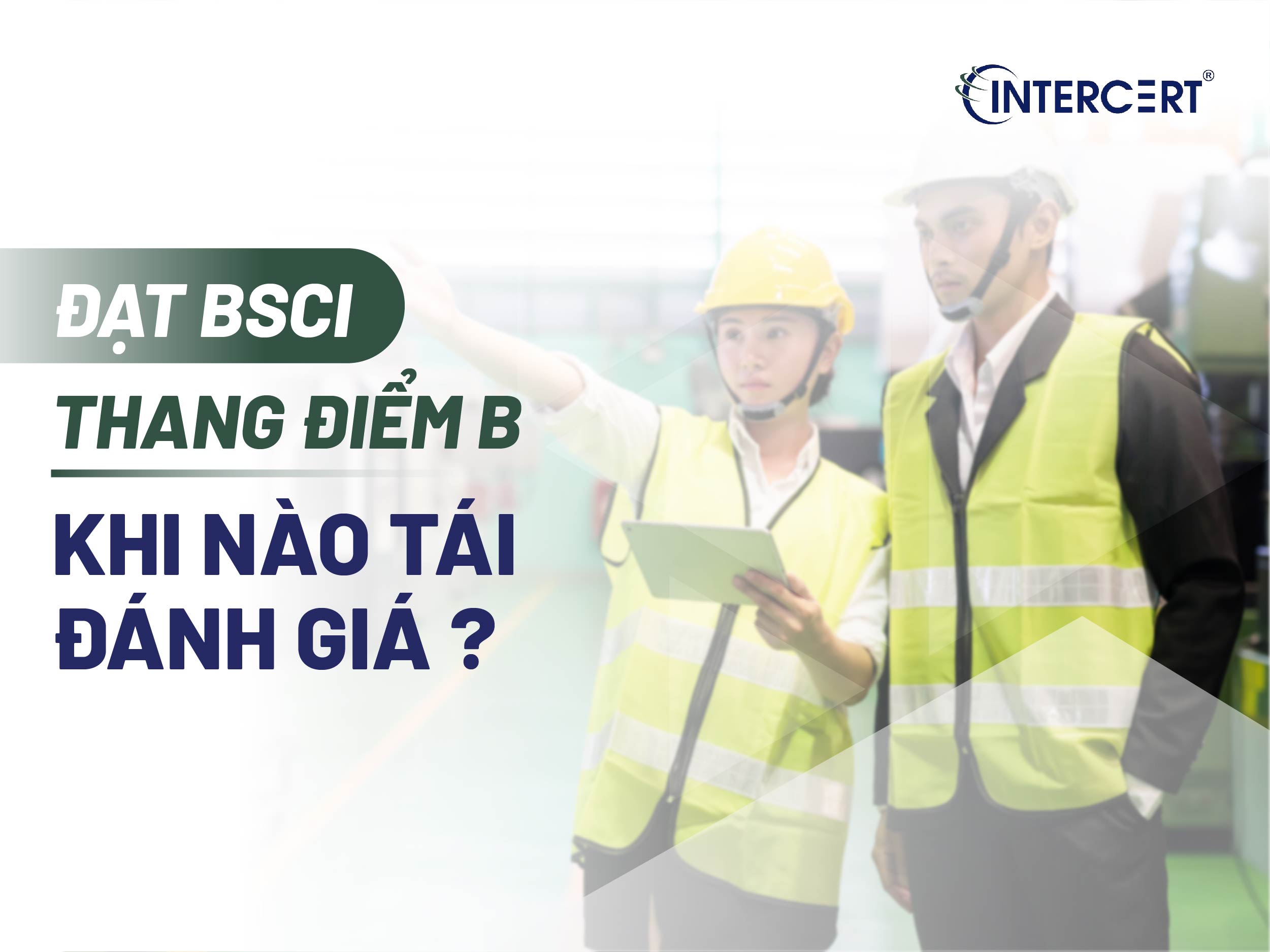 Đạt BSCI thang điểm B khi nào tái đánh giá