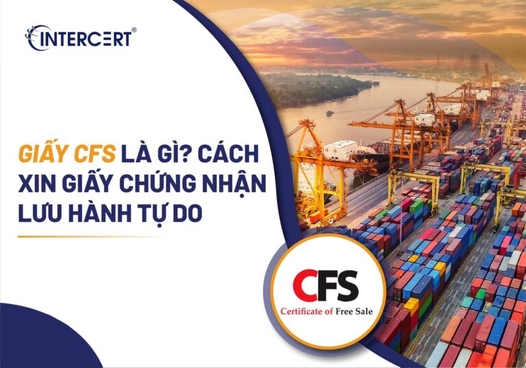 Giấy CFS là gì