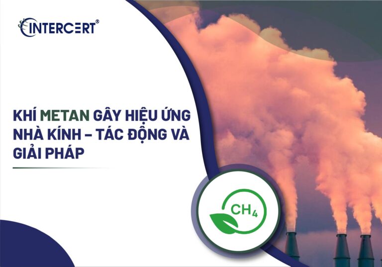 Khí Metan gây hiệu ứng nhà kính