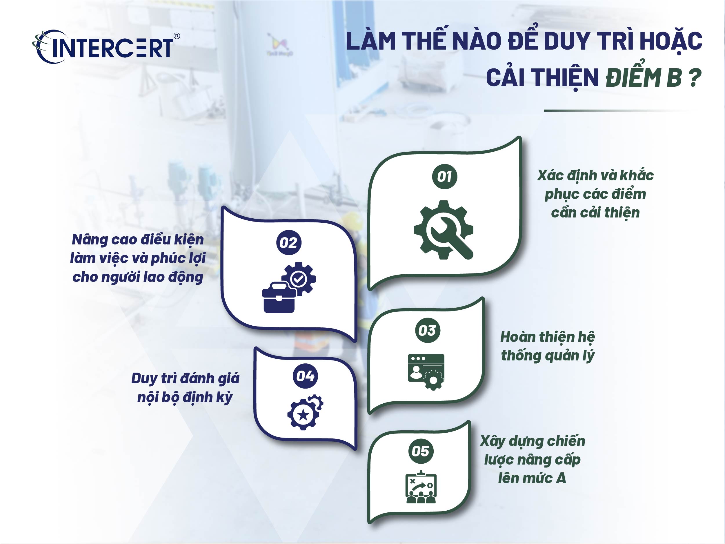 Đạt BSCI thang điểm B khi nào tái đánh giá