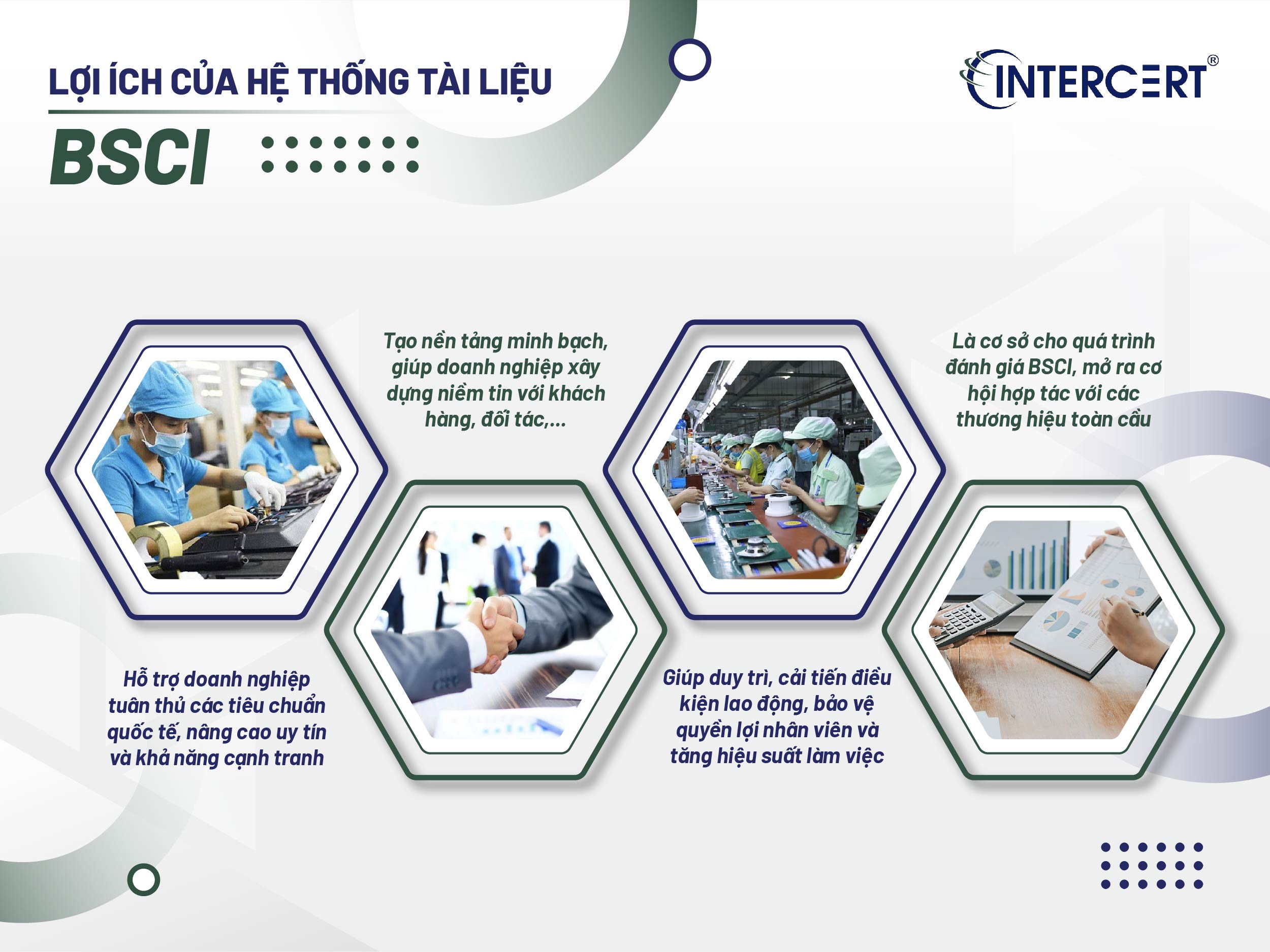 Hệ thống tài liệu BSCI