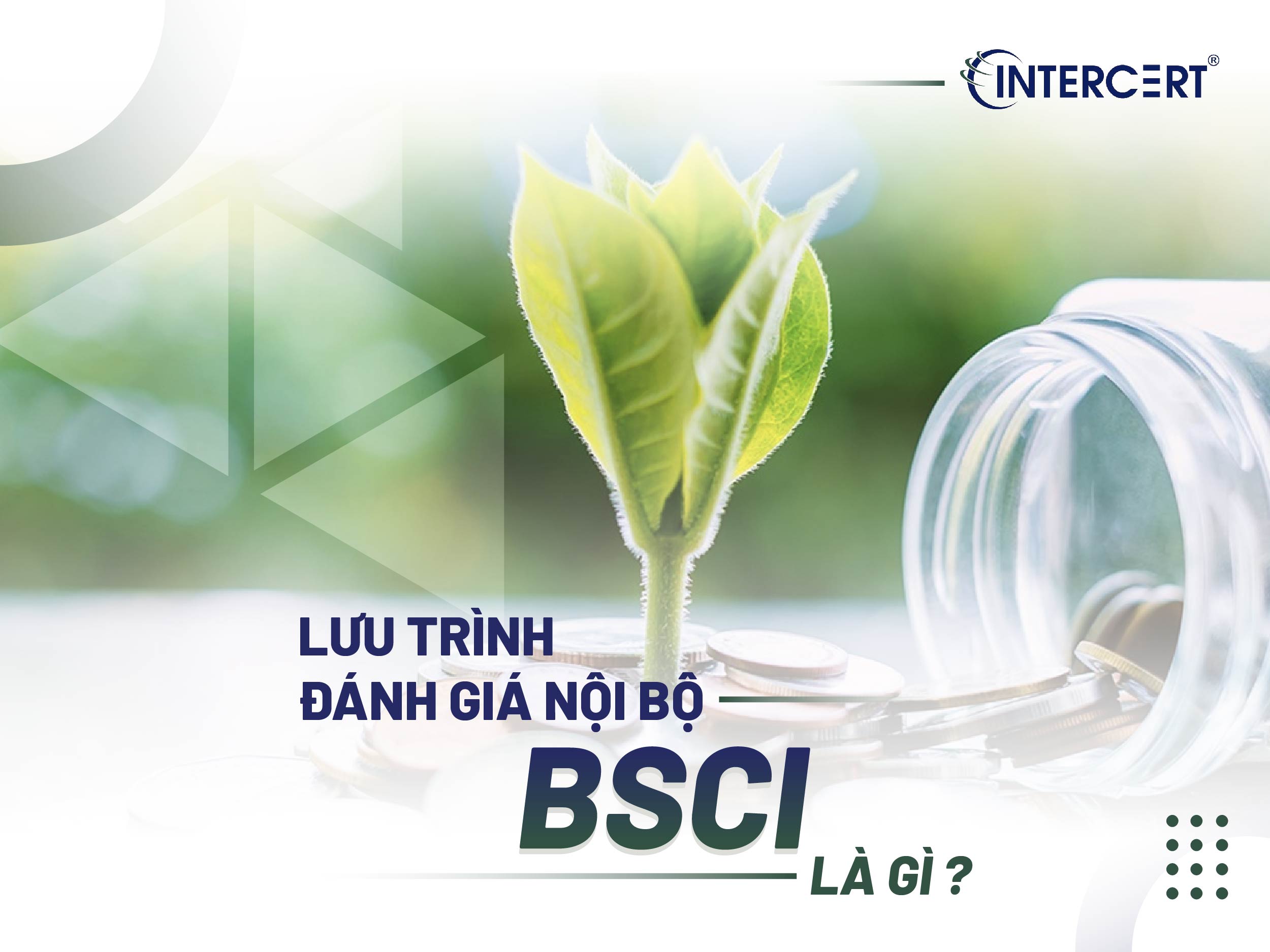 Hướng dẫn chi tiết lưu trình đánh giá nội bộ BSCI cho doanh nghiệp