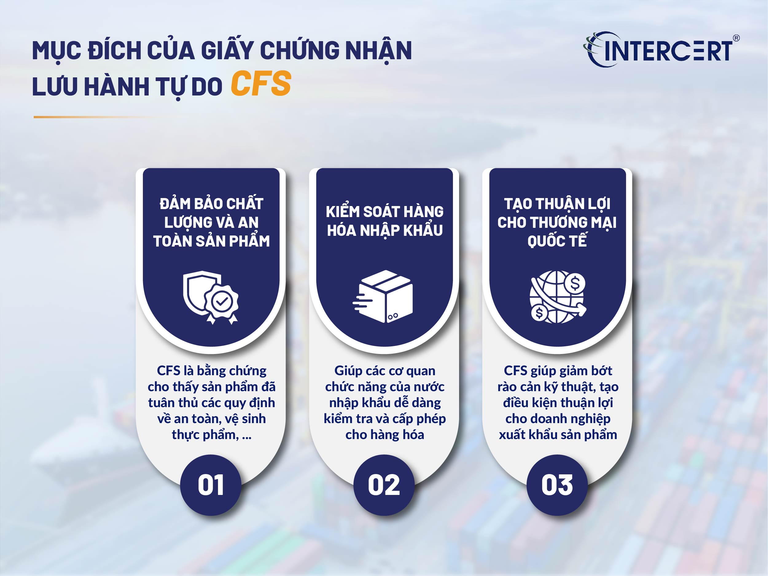 Giấy CFS là gì